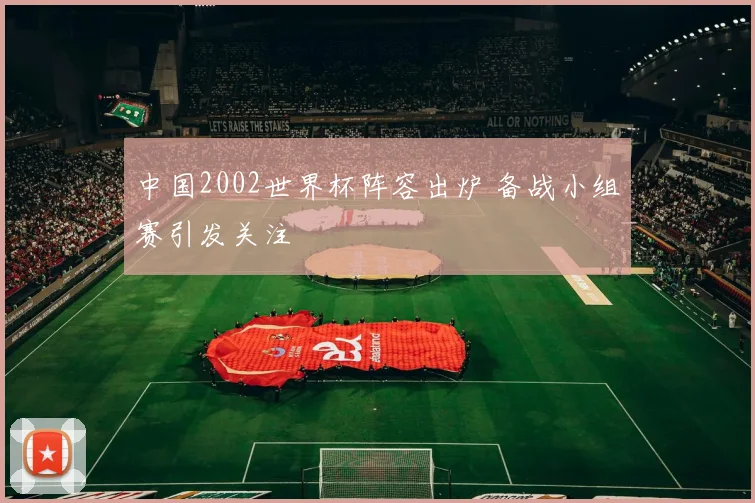 中国2002世界杯阵容出炉 备战小组赛引发关注