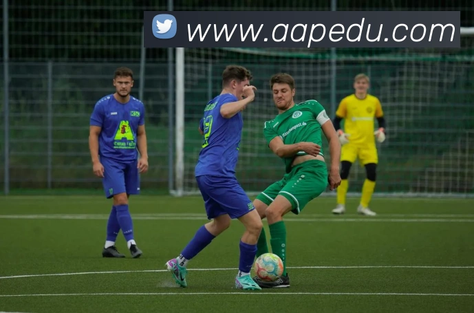 多媒体互动体验